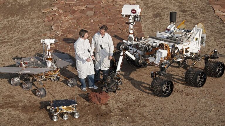A Rover's Story Summary & Review: Key Themes Explained - TheBookSuite