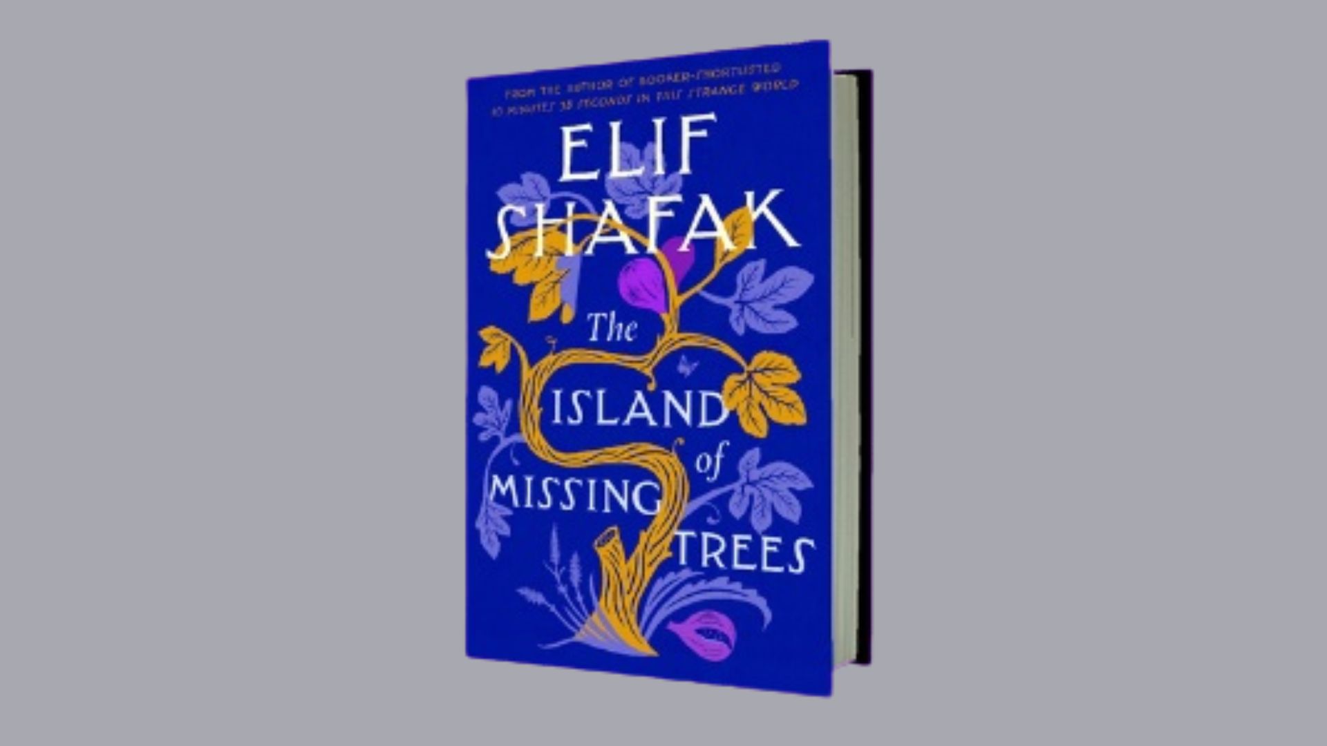 Cover of "The Island of Misfit Trees" by Elif Shafak, featuring a whimsical illustration of unique, diverse trees.