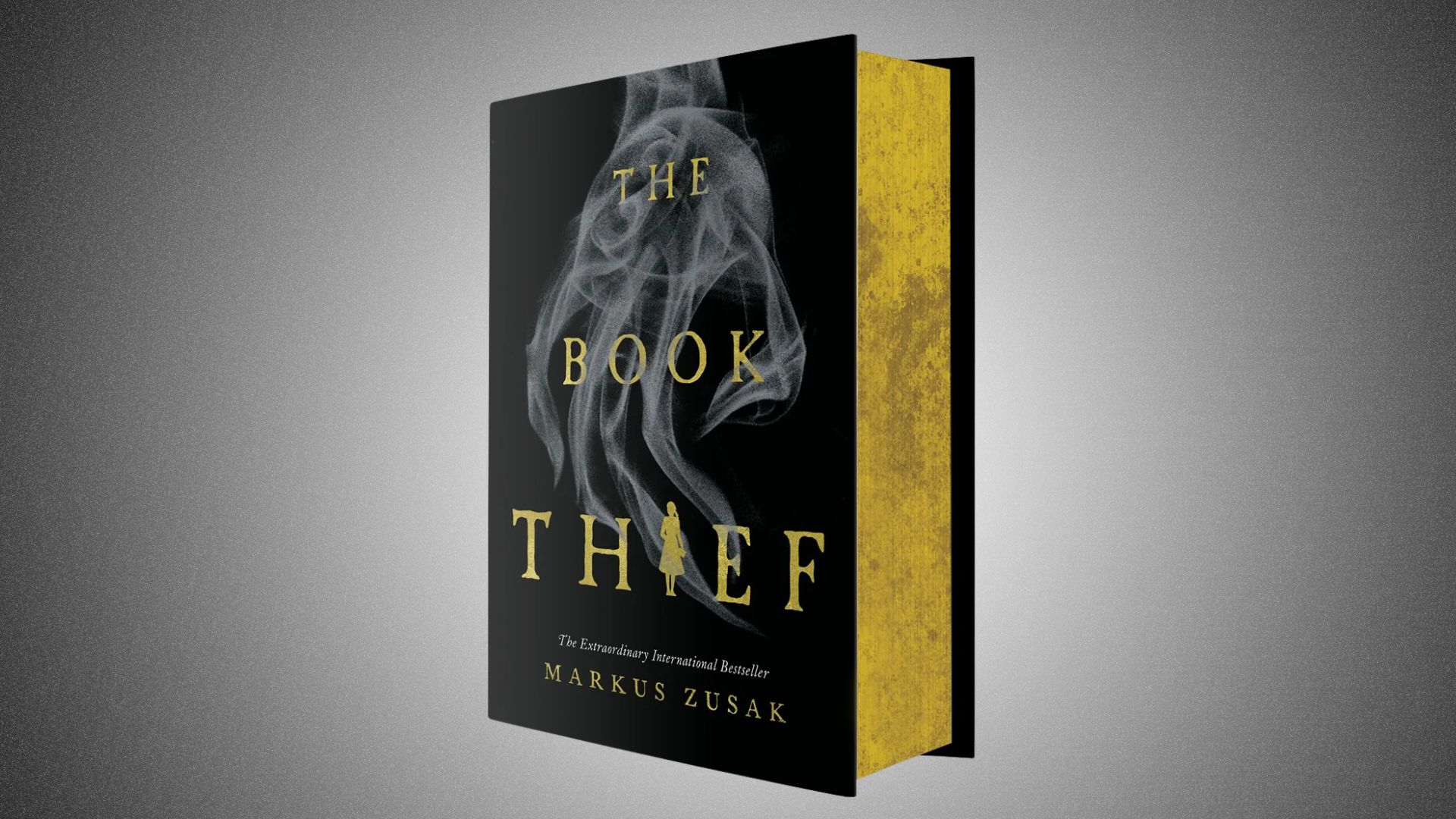 "The Book Thief" by Marie Steinbeck, illustrated cover showing a girl in a shadowy setting, clutching a book tightly.