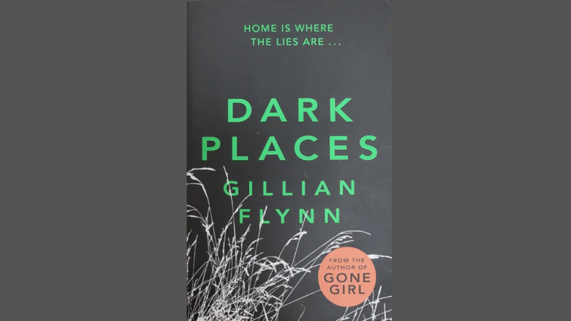 Cover of "Dark Places" by Gillian Flynn featuring a dark, moody design with the title prominently displayed.