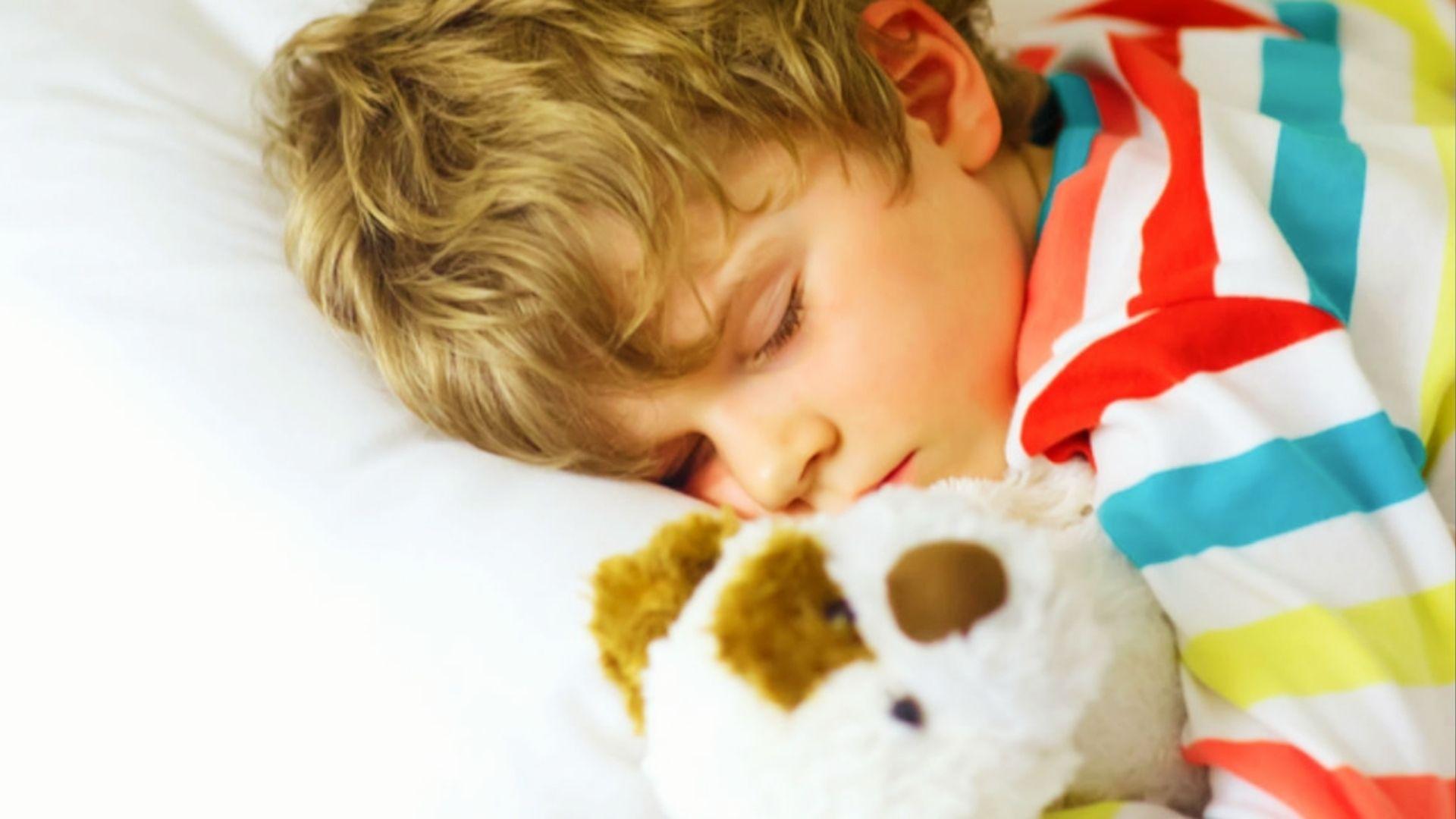 Young student sleeping peacefully with stuffed toy to show importance of rest for school success.
