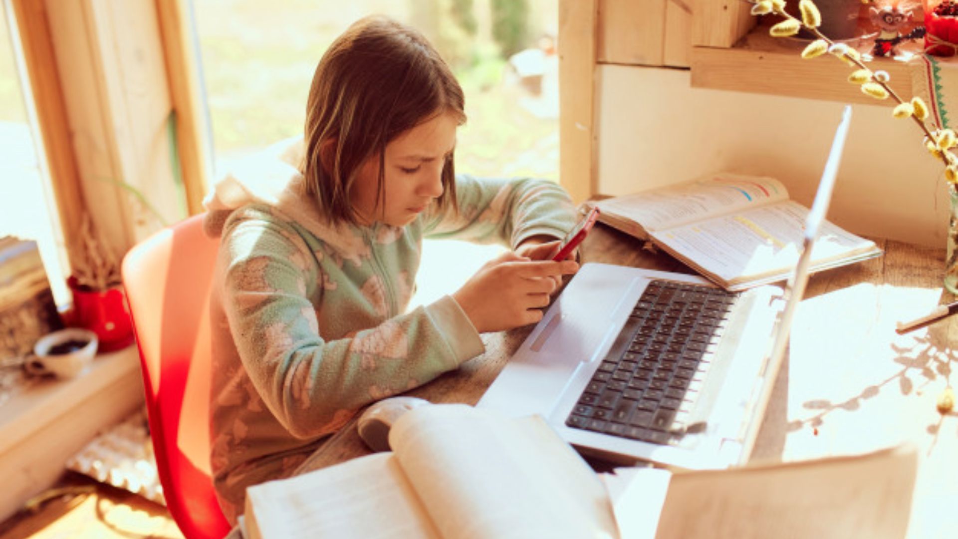 A student checks her phone at a sunny desk with open textbooks and a laptop in front of her.