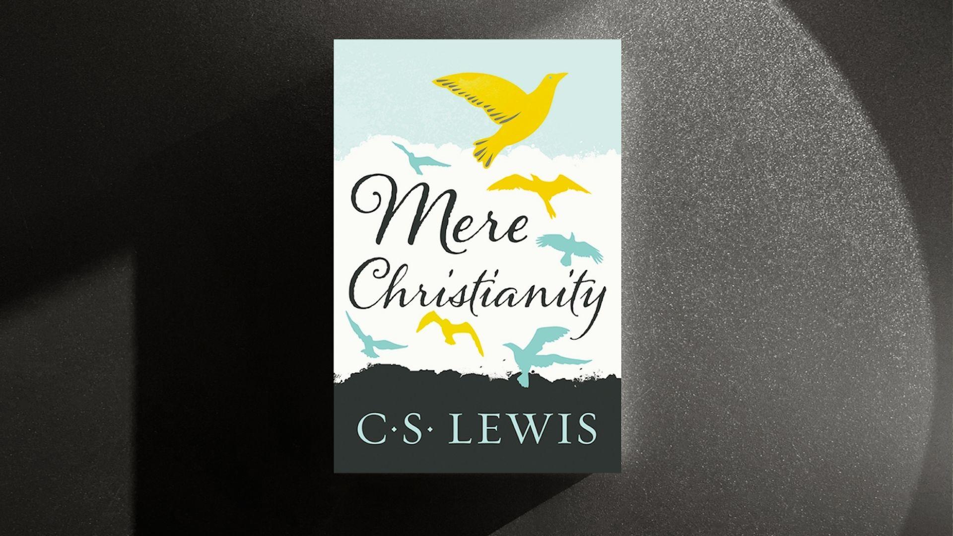 Book cover featuring the title "More Christianity" in bold letters against a simple background