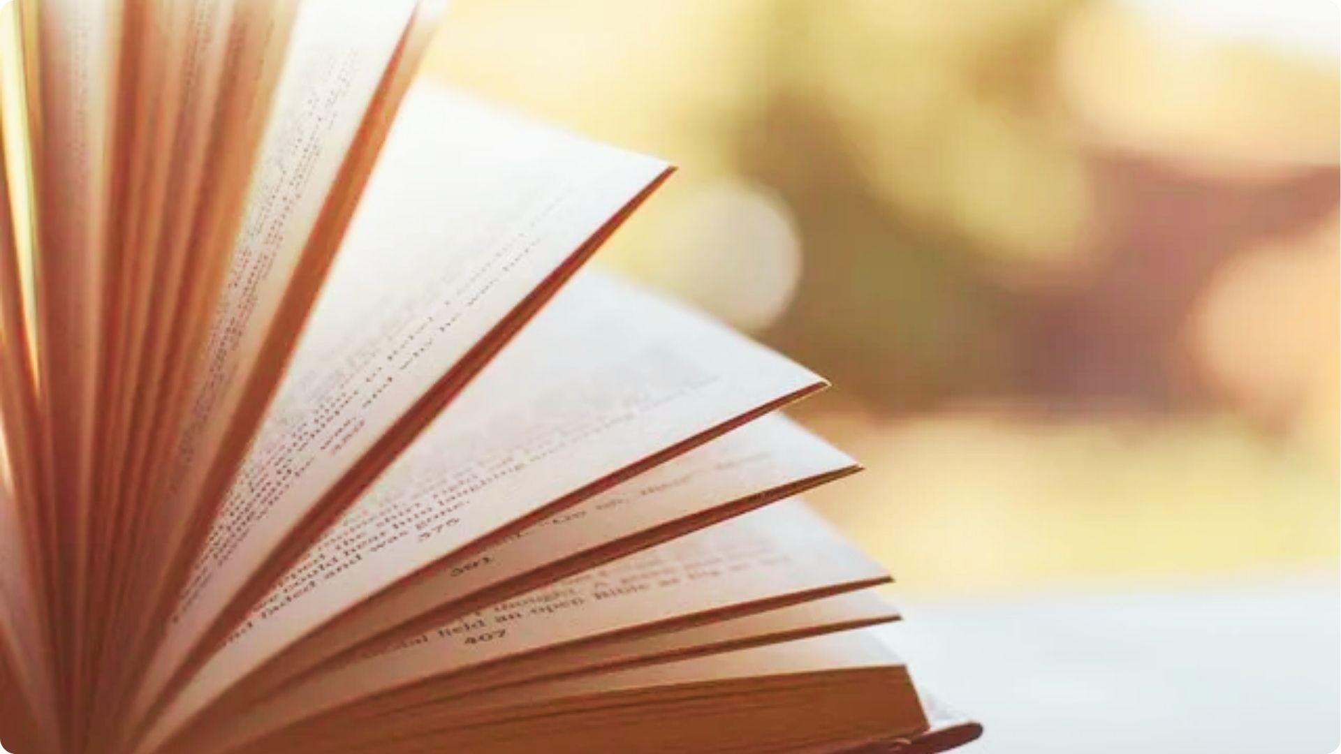 Side view of an open book fanned out, with pages backlit by warm, soft sunlight.