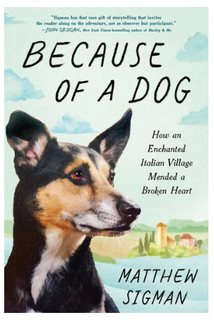 Because of a Dog by Matthew Sigman